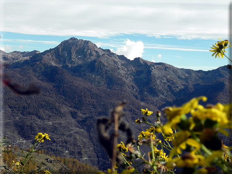 foto Salita all'Alpe Prial